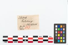 Etikett zu Bronzekahnfibel (NHMW-PRAE-026340)